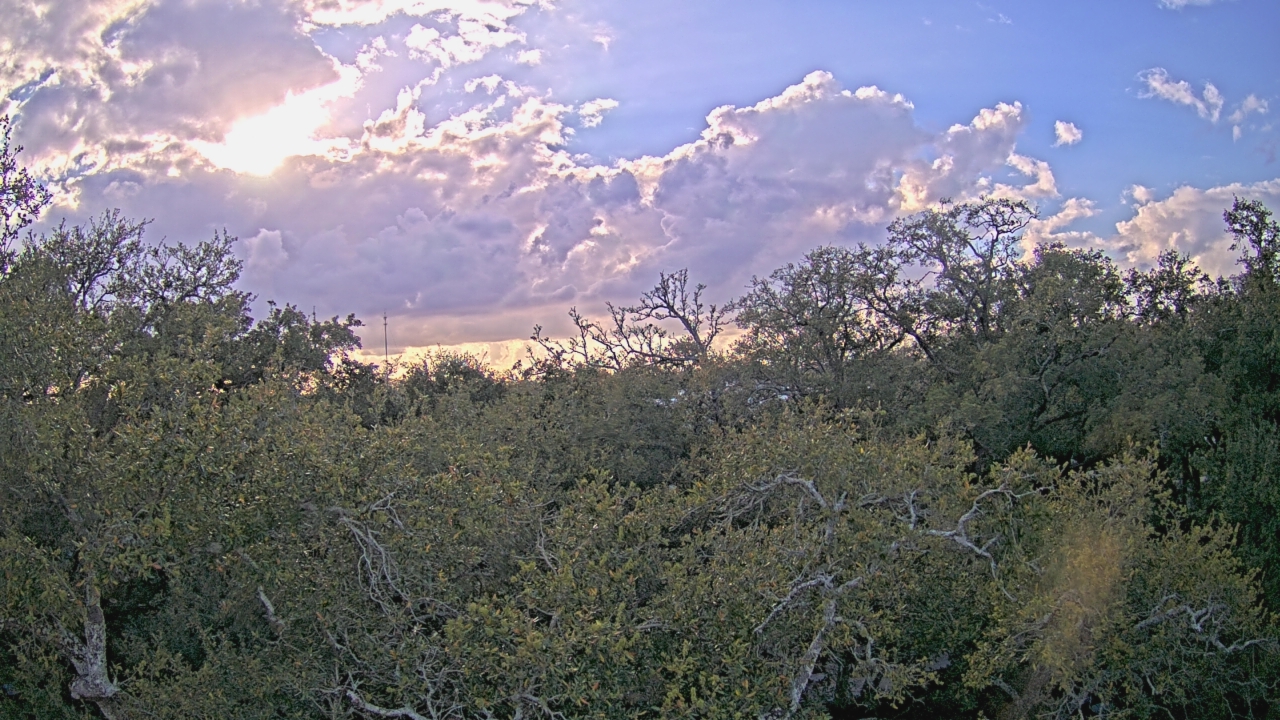 Thumbnail for current weather camera view from Metairie Club Gardens in Metairie, Louisiana