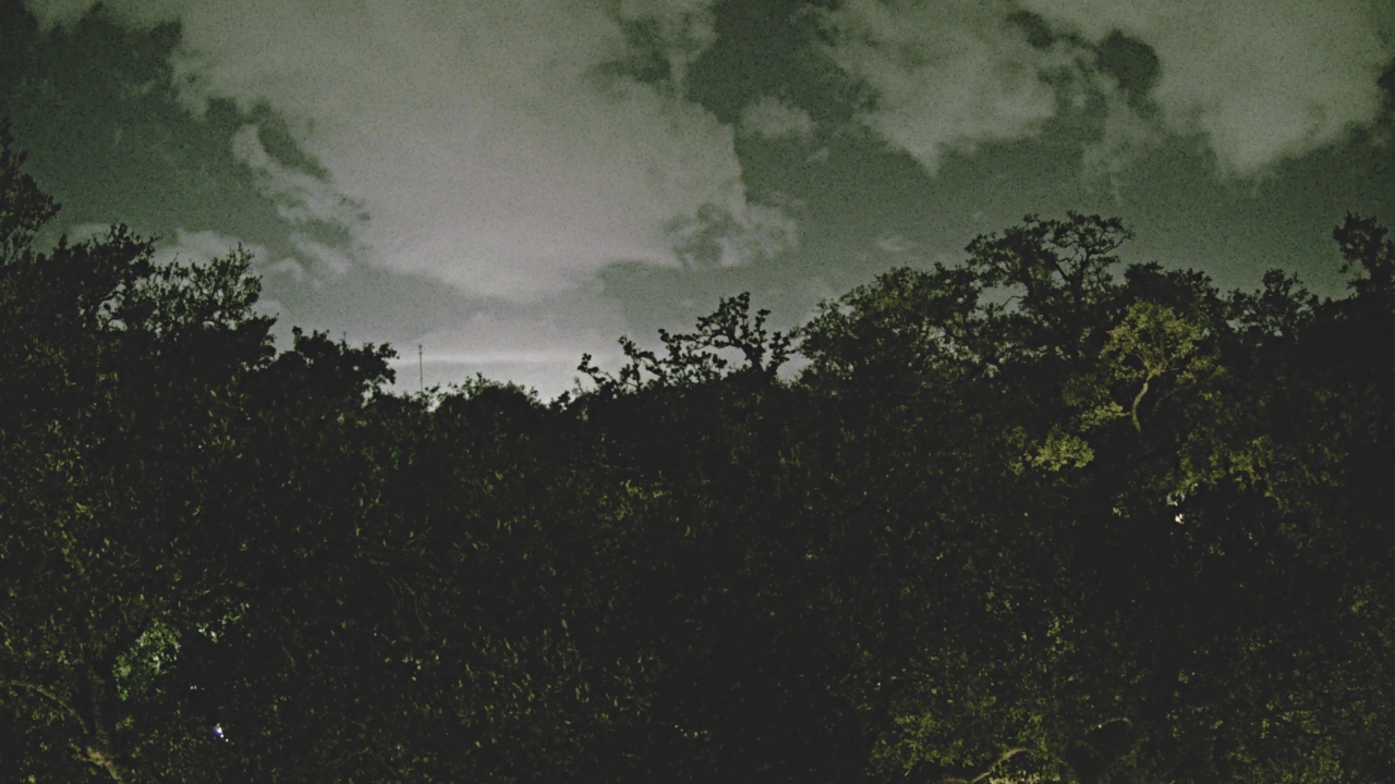 Thumbnail for current weather camera view from Metairie Club Gardens in Metairie, Louisiana