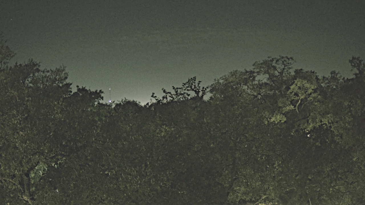 Thumbnail for current weather camera view from Metairie Club Gardens in Metairie, Louisiana