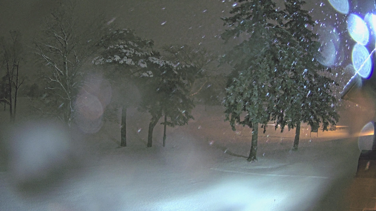 Thumbnail for current weather camera view from Warwick Hills Golf & Country Club in Grand Blanc Township, Michigan