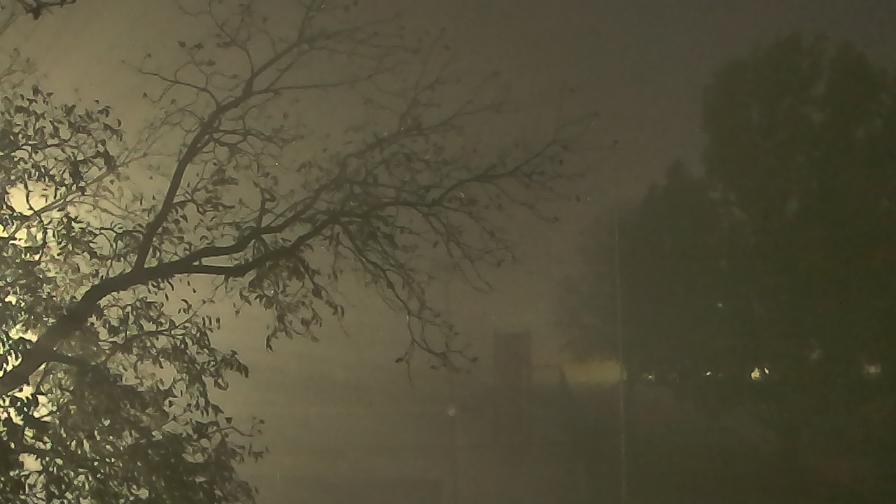 Thumbnail for current weather camera view from Camp Sweeney in Gainesville, Texas