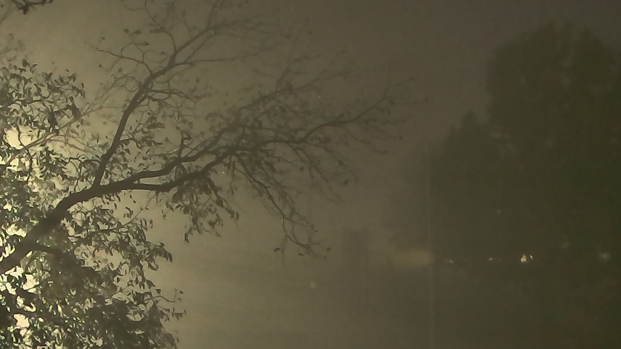 Thumbnail for current weather camera view from Camp Sweeney in Gainesville, Texas