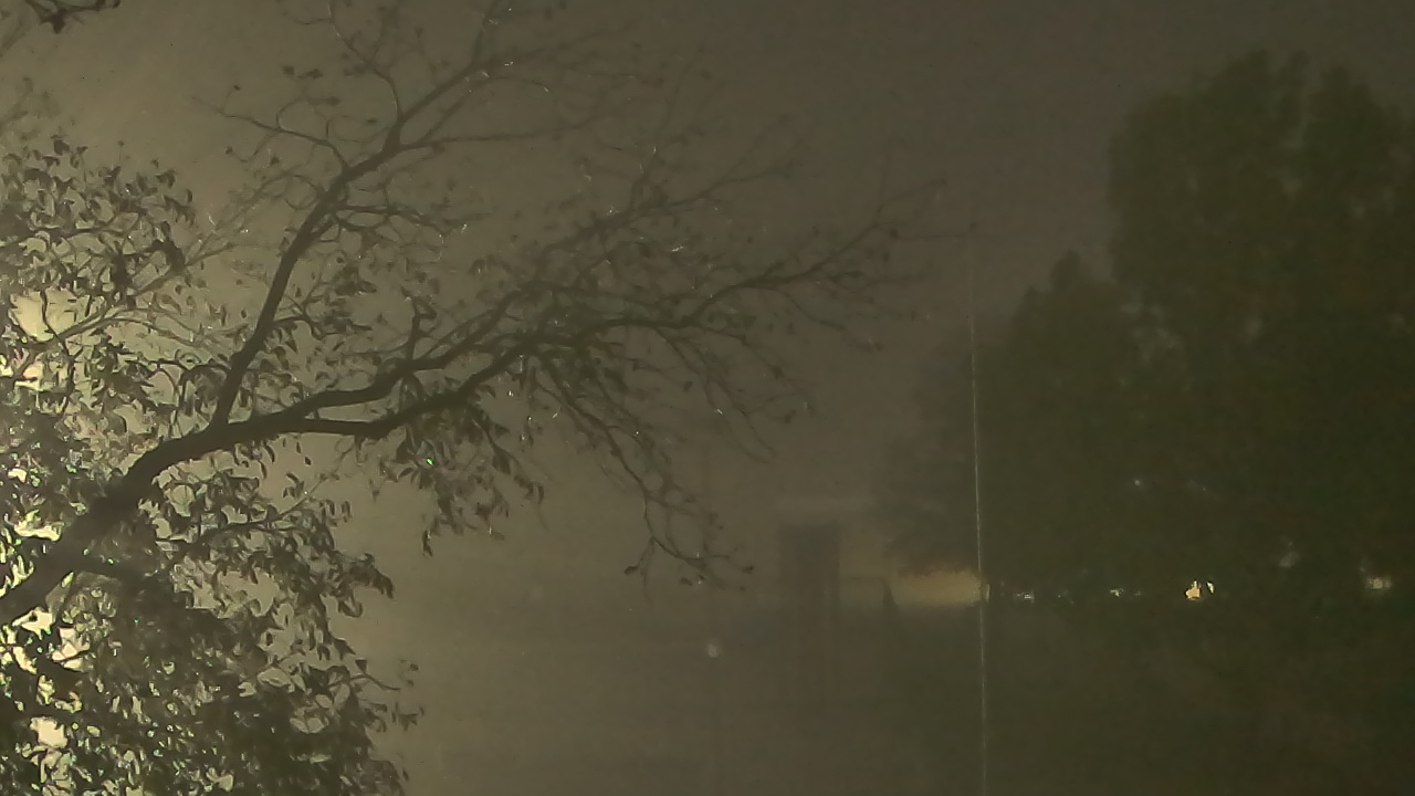 Thumbnail for current weather camera view from Camp Sweeney in Gainesville, Texas