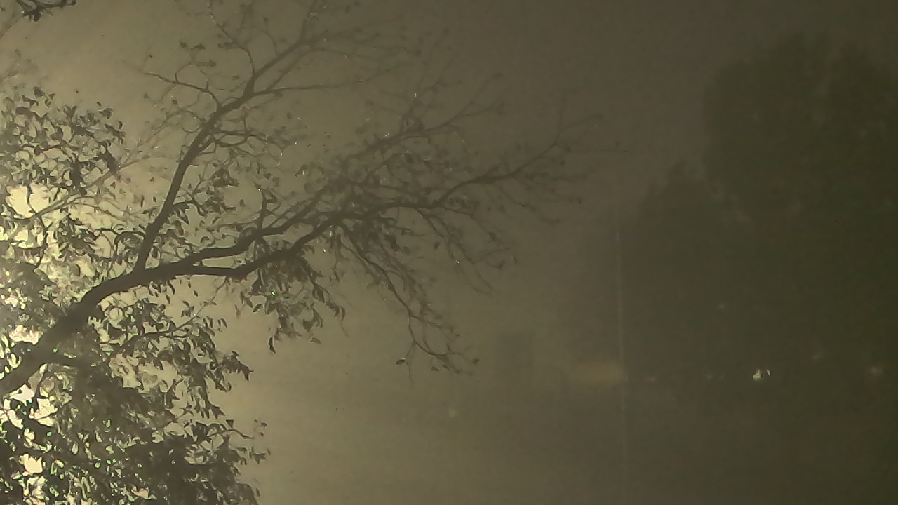 Thumbnail for current weather camera view from Camp Sweeney in Gainesville, Texas