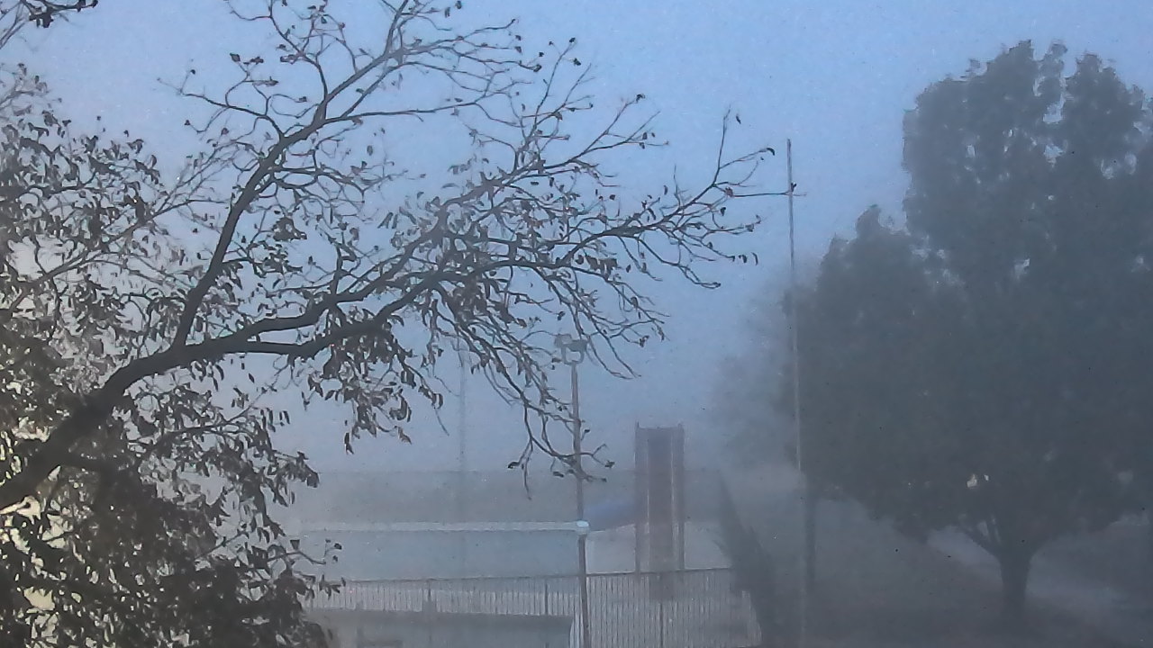 Thumbnail for current weather camera view from Camp Sweeney in Gainesville, Texas