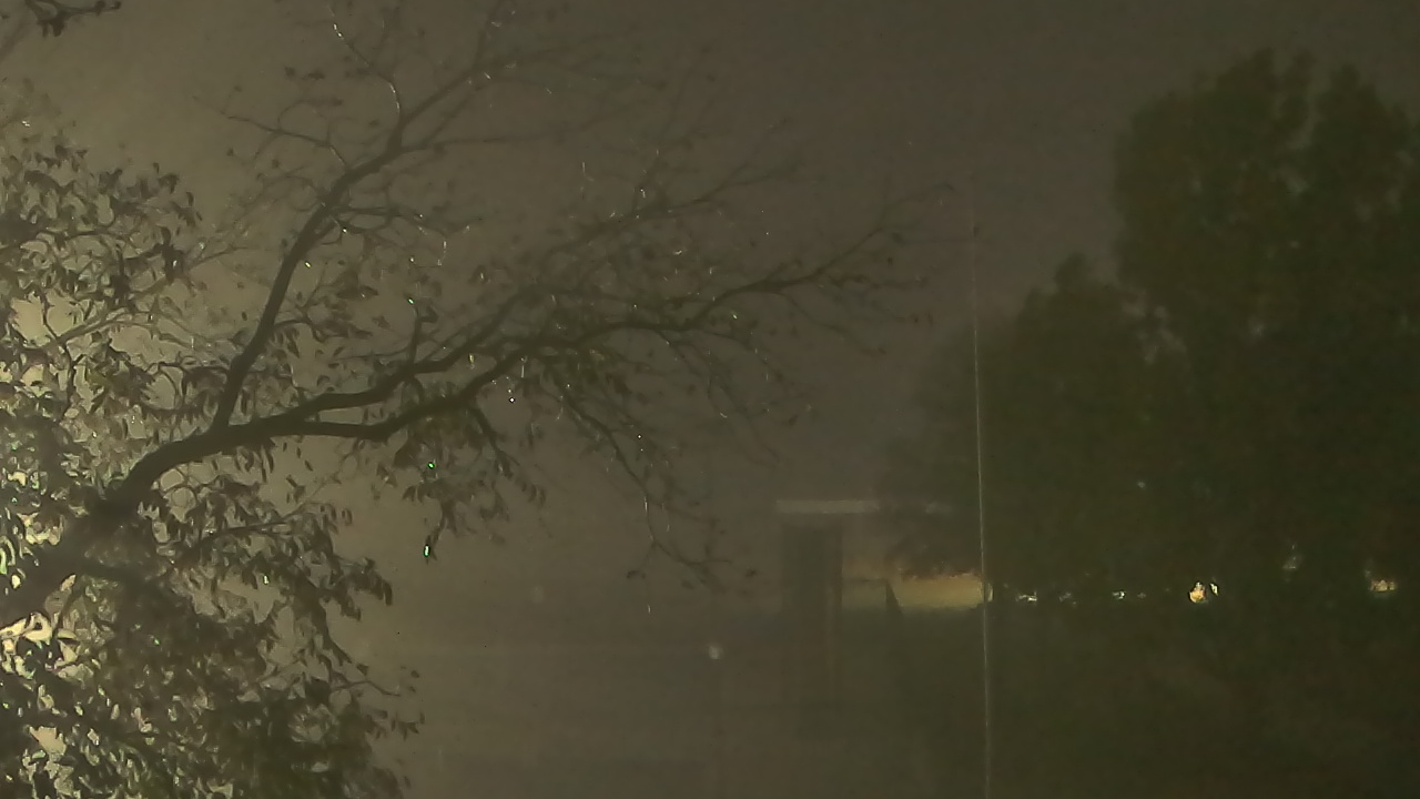 Thumbnail for current weather camera view from Camp Sweeney in Gainesville, Texas