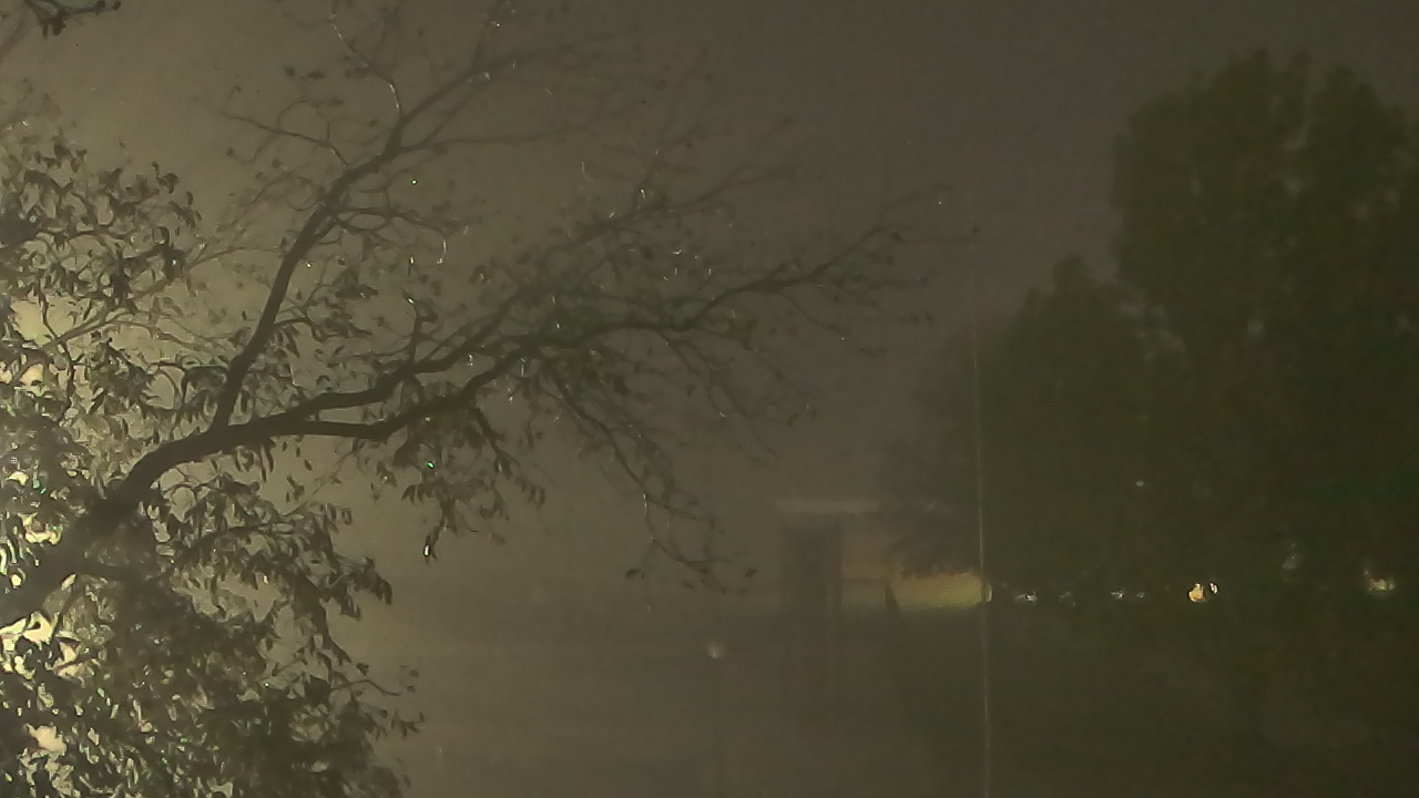 Thumbnail for current weather camera view from Camp Sweeney in Gainesville, Texas