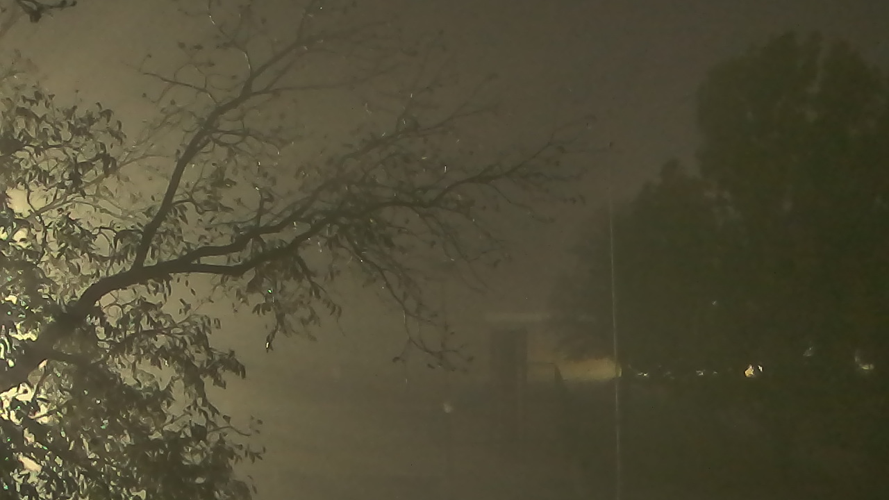 Thumbnail for current weather camera view from Camp Sweeney in Gainesville, Texas