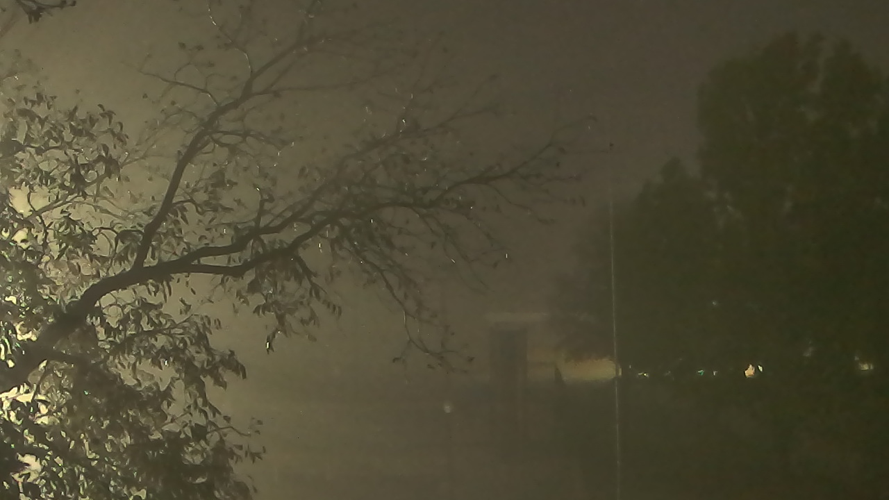 Thumbnail for current weather camera view from Camp Sweeney in Gainesville, Texas