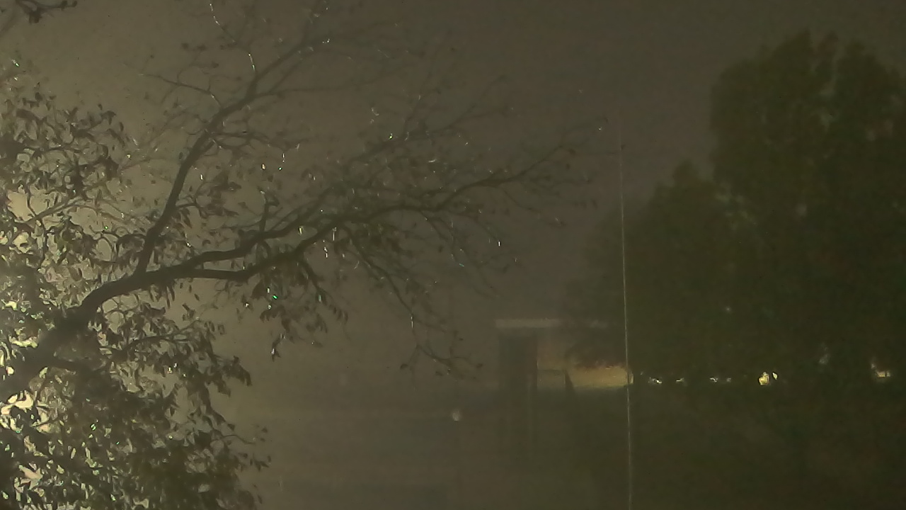 Thumbnail for current weather camera view from Camp Sweeney in Gainesville, Texas