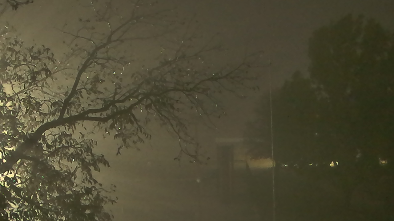 Thumbnail for current weather camera view from Camp Sweeney in Gainesville, Texas