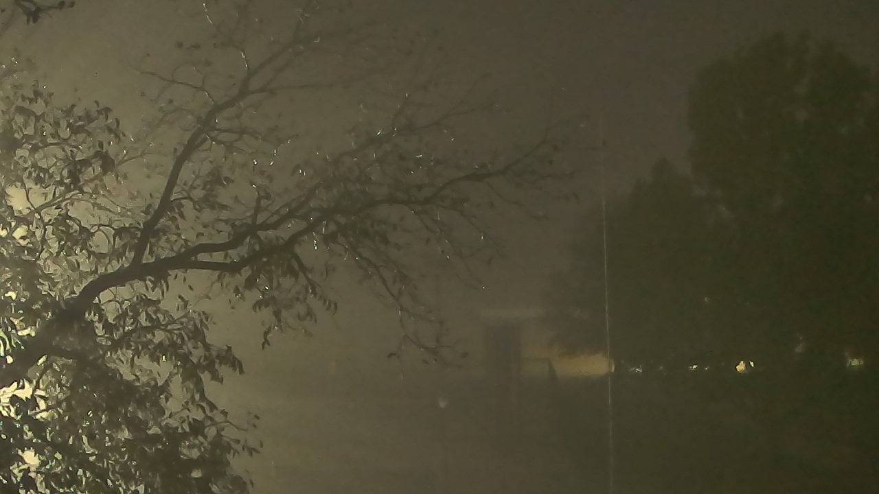 Thumbnail for current weather camera view from Camp Sweeney in Gainesville, Texas