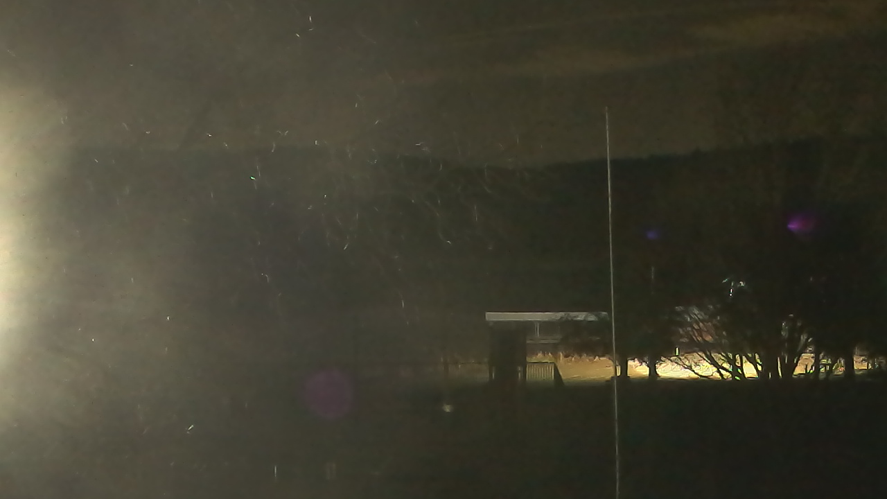 Thumbnail for current weather camera view from Camp Sweeney in Gainesville, Texas