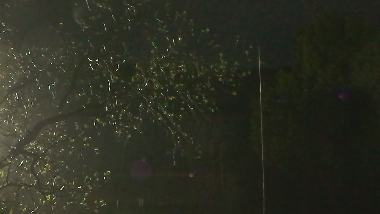 Thumbnail for current weather camera view from Camp Sweeney in Gainesville, Texas