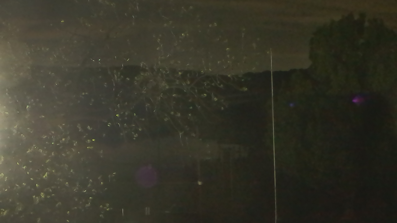 Thumbnail for current weather camera view from Camp Sweeney in Gainesville, Texas