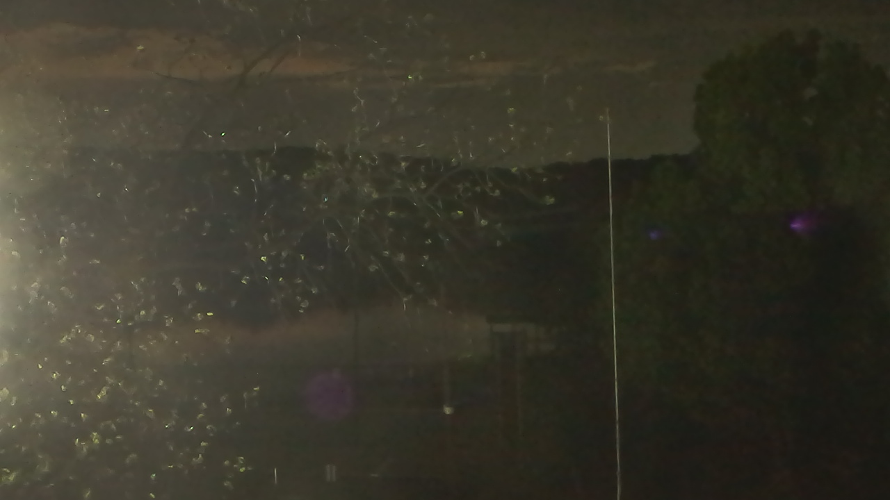 Thumbnail for current weather camera view from Camp Sweeney in Gainesville, Texas