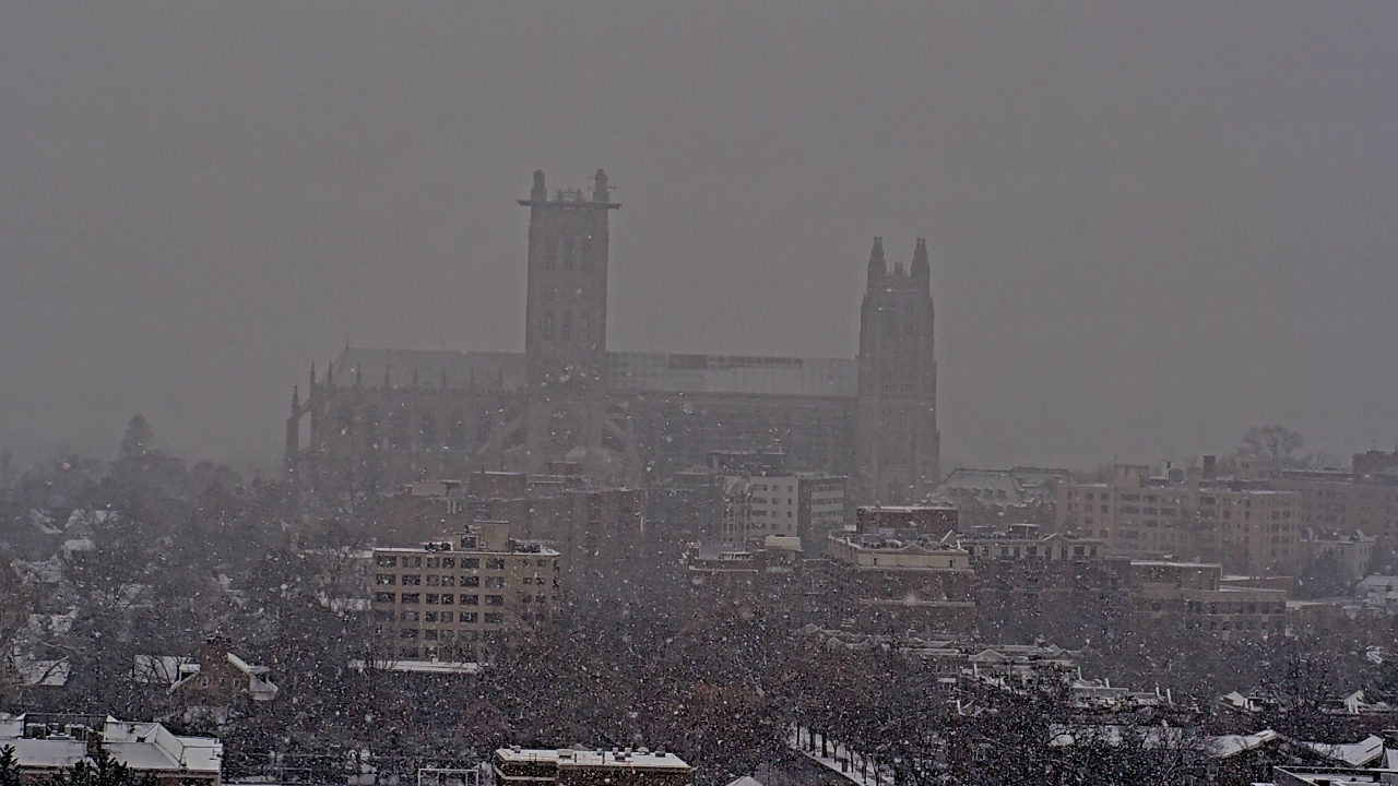 Thumbnail for current weather camera view from WJLA Tower Camera in Washington, District Of Columbia