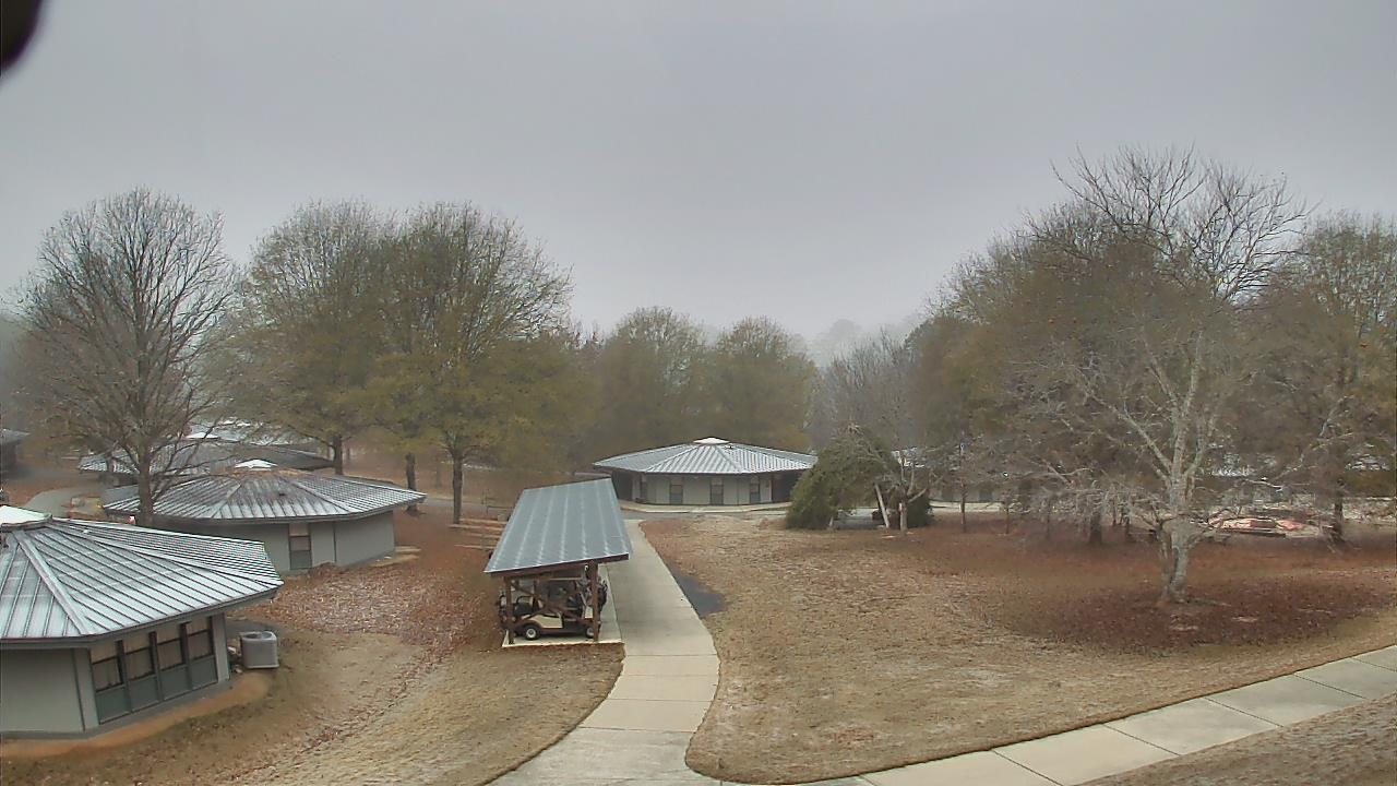 Thumbnail for current weather camera view from Camp Twin Lakes - Will-a-Way in Winder, Georgia