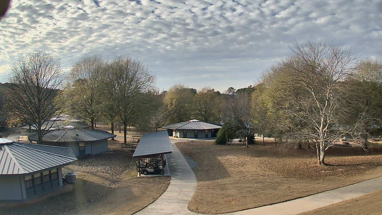 Thumbnail for current weather camera view from Camp Twin Lakes - Will-a-Way in Winder, Georgia