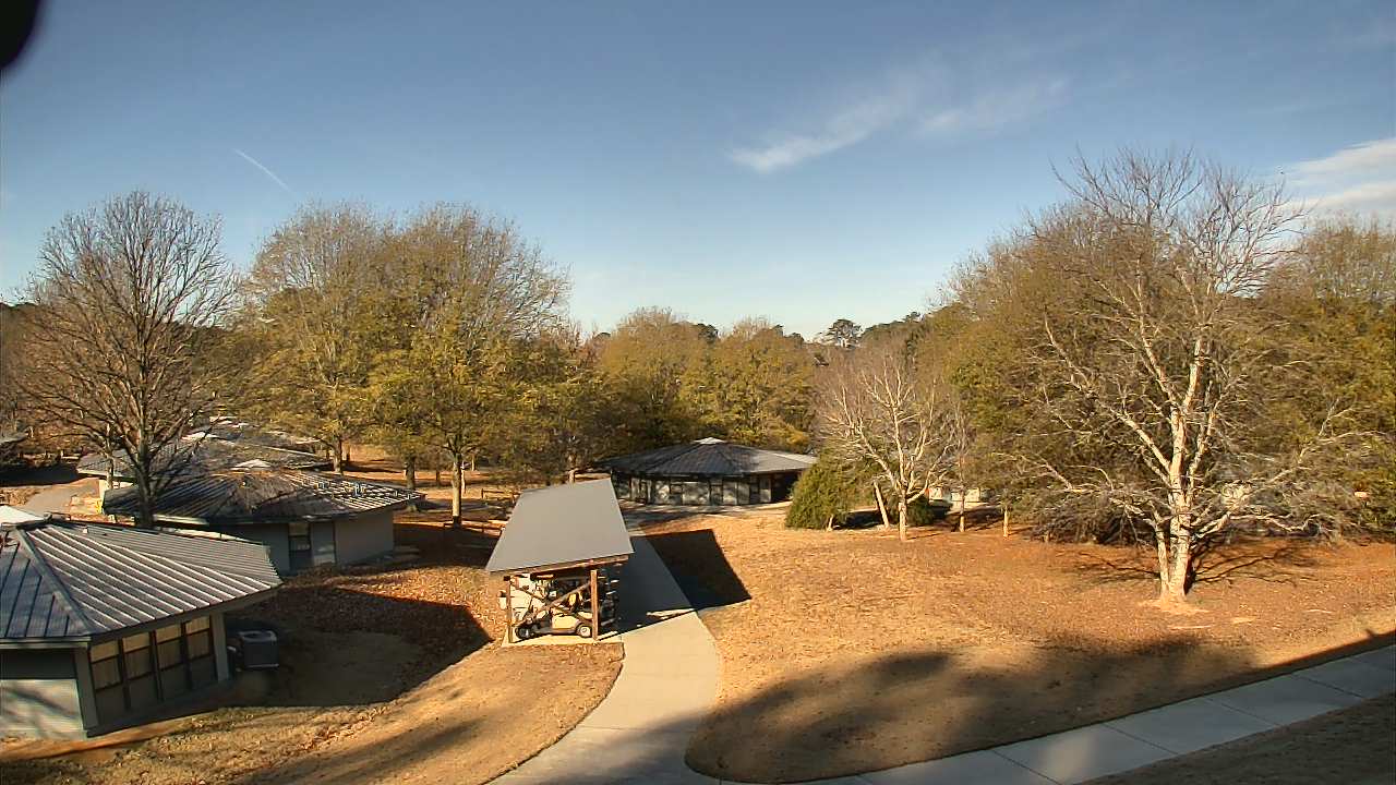 Thumbnail for current weather camera view from Camp Twin Lakes - Will-a-Way in Winder, Georgia