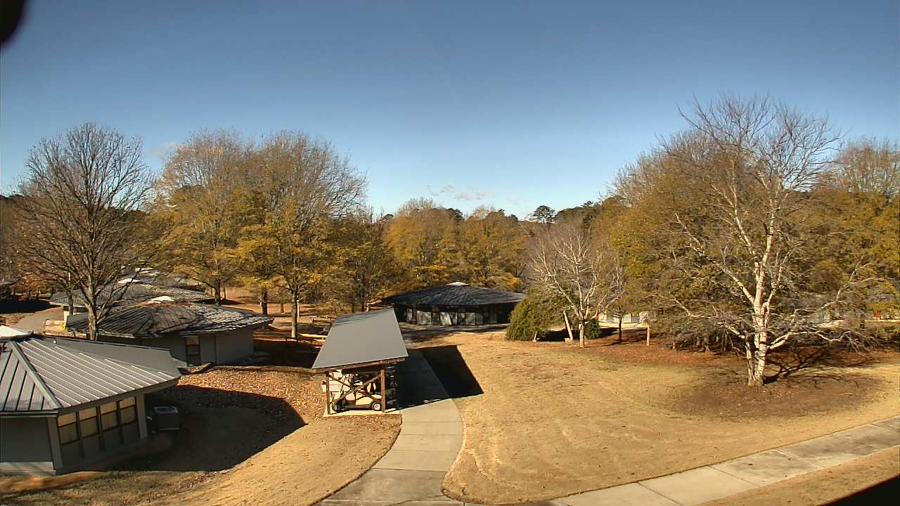 Thumbnail for current weather camera view from Camp Twin Lakes - Will-a-Way in Winder, Georgia